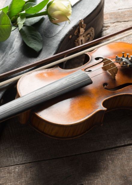 Концерт «Звёздная скрипка», Научный