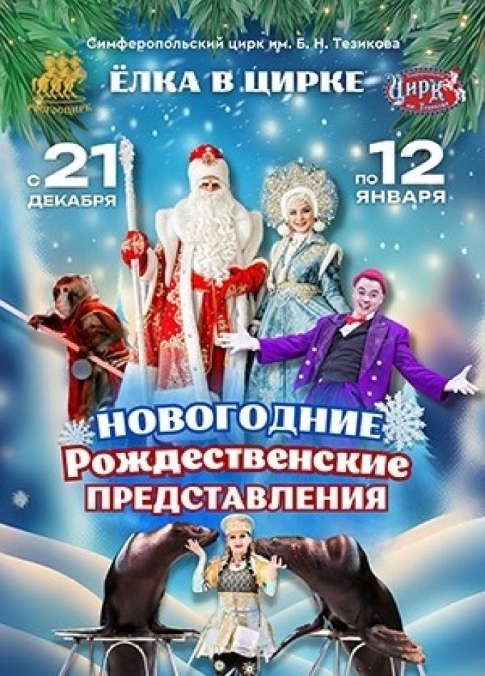 Ёлка в цирке