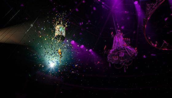 Ёлка в цирке