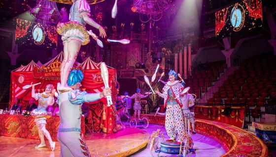 Ёлка в цирке