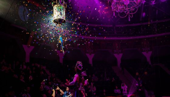 Ёлка в цирке