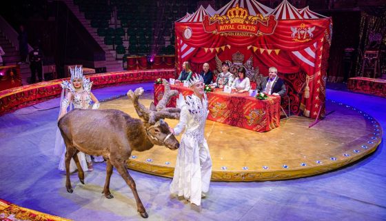 Ёлка в цирке