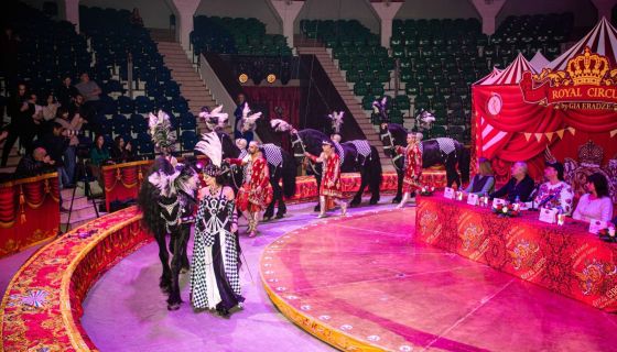 Ёлка в цирке